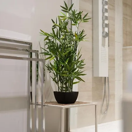 Le Victor Hugo T3 Proche Musee Soulages Daire *