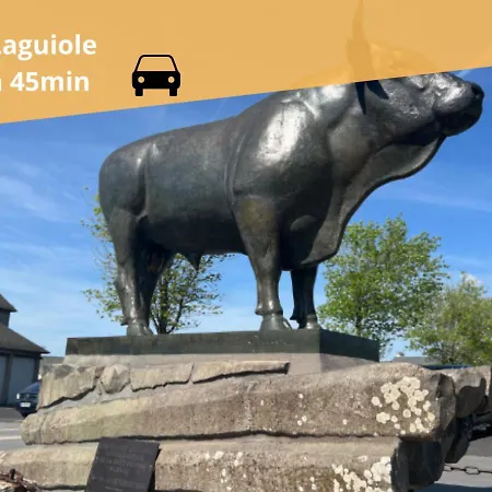 Apartment Le Victor Hugo T3 Proche Musee Soulages