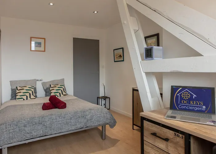 Le Victor Hugo T3 Proche Musée Soulages Rodez