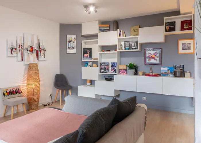 Le Victor Hugo T3 Proche Musée Soulages